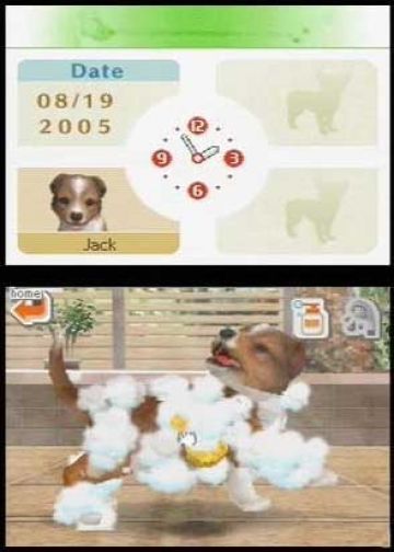 Immagine 0 del gioco Nintendogs: Labrador and Friends per Nintendo DS